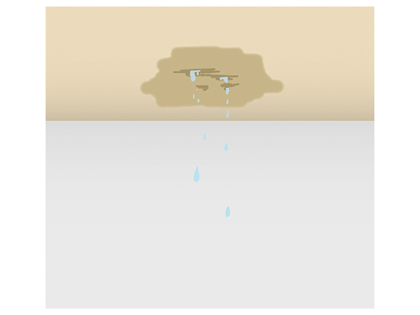 天井や壁にシミがある