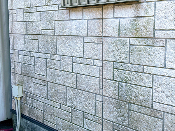 コケ・カビの繁殖